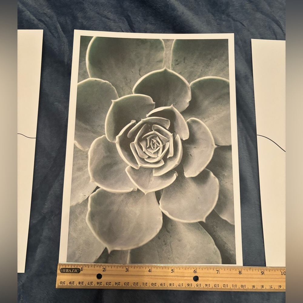 Floral Poster Set - Picture 5 of 5